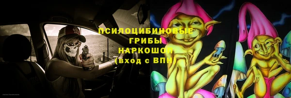 экстази Богданович